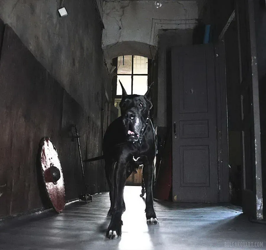 Банга | Михаил Булгаков, «Мастер и Маргарита»