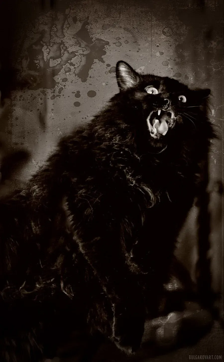 Черный кот | Михаил Булгаков, «Мастер и Маргарита»